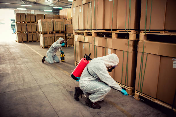 Best Pest Control Treatment  in Ketchikan, AK
