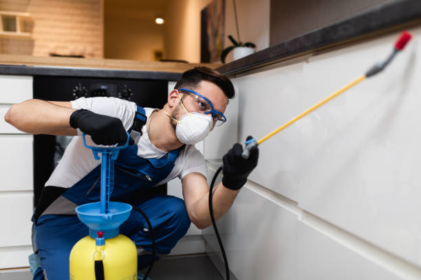 Best Ant Control Services  in Ketchikan, AK