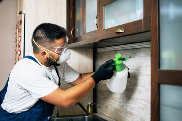 Best Emergency Pest Control  in Ketchikan, AK