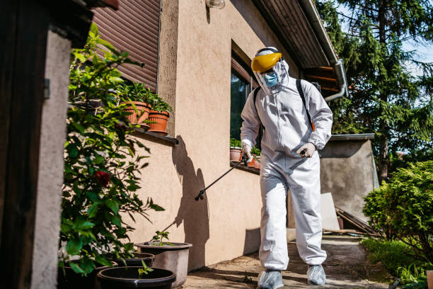 Best Affordable Pest Control Services  in Ketchikan, AK