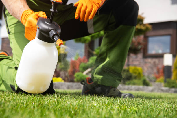 Best Best Pest Control Companies  in Ketchikan, AK