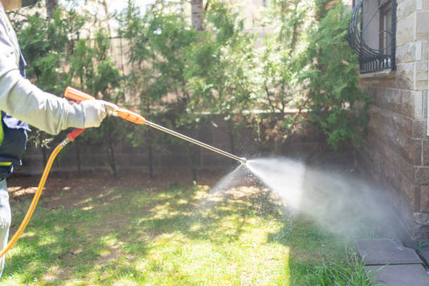 Best Mosquito Control Services  in Ketchikan, AK