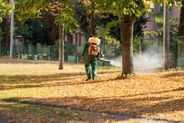 Best Commercial Pest Control Services  in Ketchikan, AK