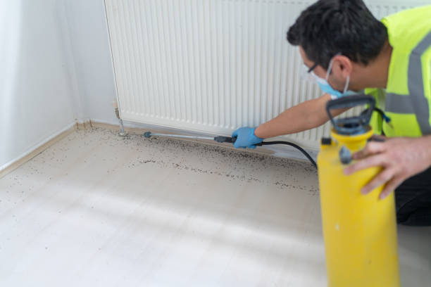 Best Best Pest Control Companies  in Ketchikan, AK